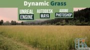 Skillshare – Make your DREAM Project Realistic : Create Dynamic Grass in Unreal Engine