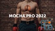 Boris FX Mocha Pro 2022.5 v9.5.2 Build 9 Win x64