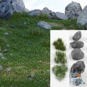 Grass and stones