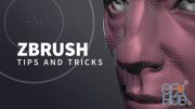 Lynda – ZBrush: Tips and Tricks (Update June 3, 2020)