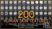 ArtStation Marketplace – 200 Human Skin Textures