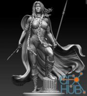Valkyrie Washed – 3D Print