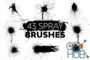 43 Spray Brushes