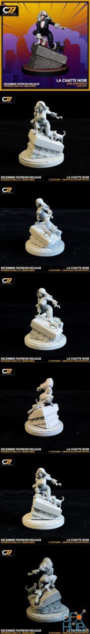 La Chatte Noir – 3D Print