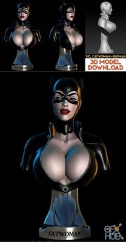 Catwoman B – 3D Print