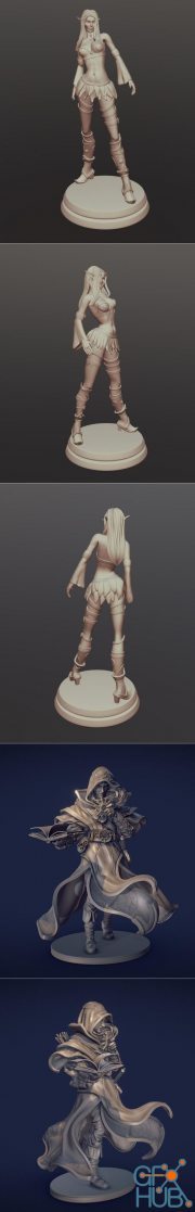 Night Elf and Elf Priest – 3D Print