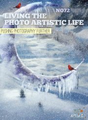 Living The Photo Artistic Life – February 2021 (True PDF)