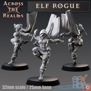 Elf Rogue – 3D Print