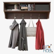 Wall Shelf With Hooks and Clothes