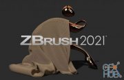 Pixologic Zbrush v2021.6.2 Fix V2 Win x64