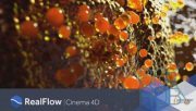 NextLimit RealFlow v2.6.5.0095 for Cinema 4D R17 to R20 Mac