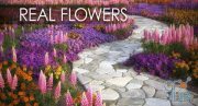 VIZPARK – Real Flowers