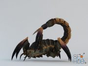 Scorpion with animations