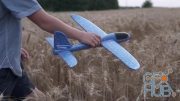MotionArray – Boy With A Plane On The Field 1012131