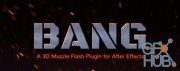 QP Bang v1.0.3 for After Effects Mac