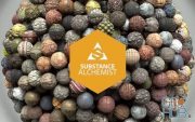 Allegorithmic Substance Alchemist 2020.1.1 Win x64