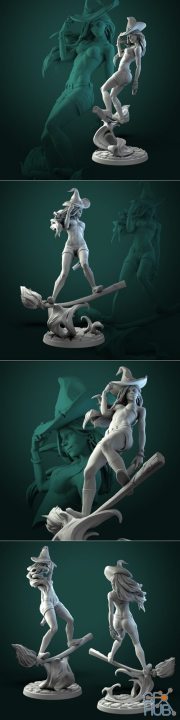 Anita the Young Witch – 3D Print