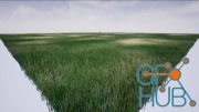 Unreal Engine – Grass and Greens Pack