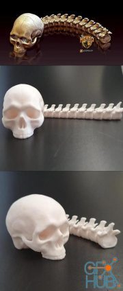 Articulated Predator Skull Trophy – 3D Print