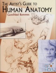 The Artists Guide to Human Anatomy (PDF)