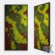 Decorative moss panel