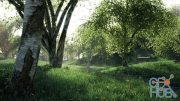 The Gnomon Workshop – Creating Trees in Maya / Paint Effects Forest Techniques, part Three with Alex Alvarez