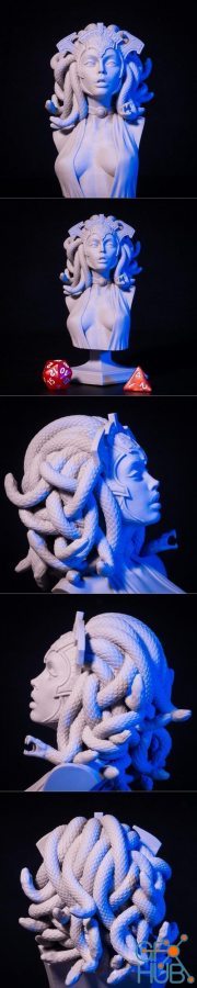 Medusa Bust – 3D Print