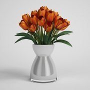 Tulips in modern vase