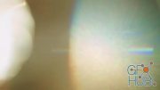 MotionArray – Anamorphic Lens Flares Overlay 806882