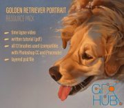 Gumroad – Dog Portrait Tutorial & Brush Pack