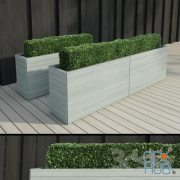 Hedge in a modern rectangular pots