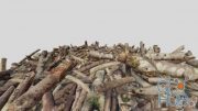 Pile of Sticks (fbx)