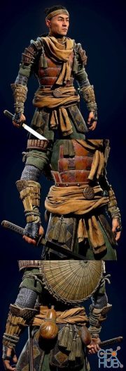 The Japan Samurai Warrior