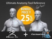 Gumroad – Ultimate Anatomy Tool Reference for Artists V2
