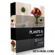 CGAxis Models Volume 21 Plants II