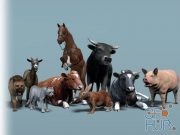 Unity Asset – Domestic Animal Pack 1