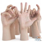 3D Scan Store – Ultimate Male Hands Pack