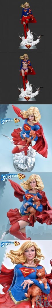 Supergirl cat – 3D Print