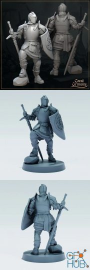 Knight Templar - 3D Print