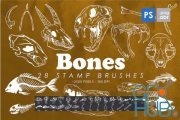 Envato – 28 Bones Photoshop Stamp Brushes