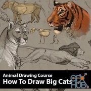 CreatureArtTeacher – Aaron Blaise – How to Draw Animals The Big Cats