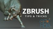 Lynda – ZBrush: Tips & Tricks (Updated: June 2018)