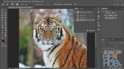 Udemy – Adobe Photoshop 2020 – Beginner Essentials Training Course