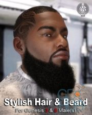 Stylish Hair And Beard For Genesis 3 And 8 Male(s)