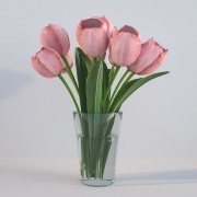 Tulips in a glass