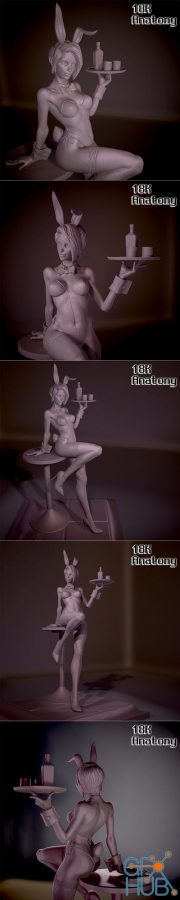 18K Anatomy - Bunny Girl – 3D Print