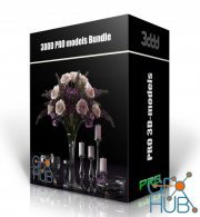 3DSky Pro 3D-Models Collection 3 July 2022