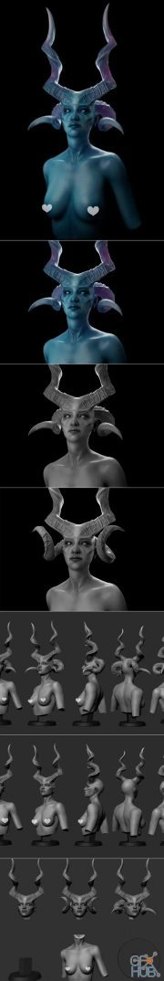 Female Bust – 3D Print