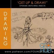 Gumroad – Foundation Patreon – Dynamic Sketching: Insects