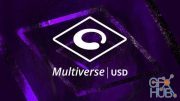 Multiverse Pro v6.7.0 for Maya 2018-2020 Win
